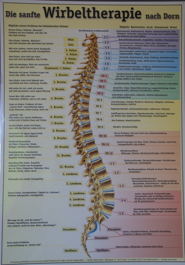 Dorntherapie